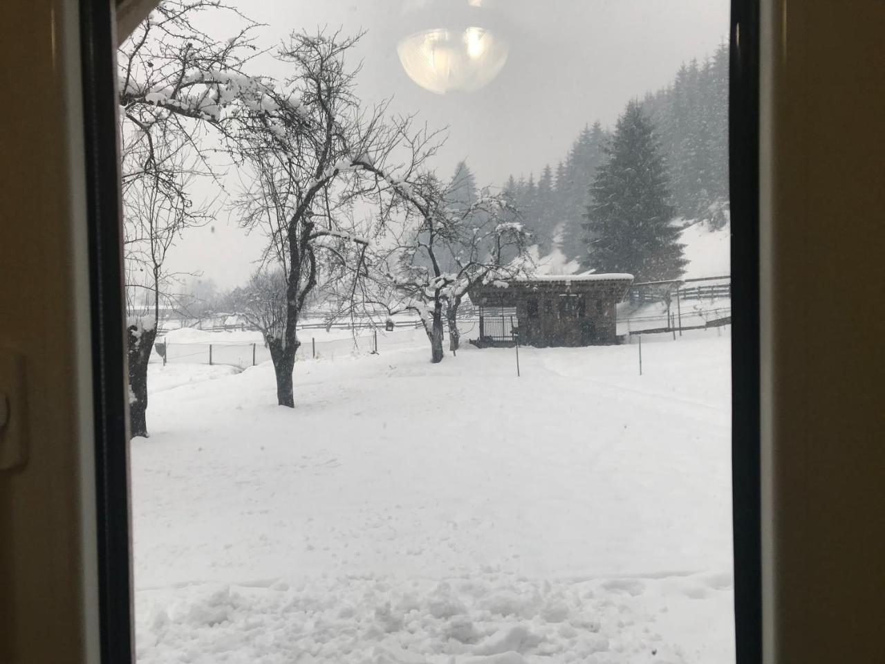 Shelest Vody Hotel Ruska Mokra Luaran gambar